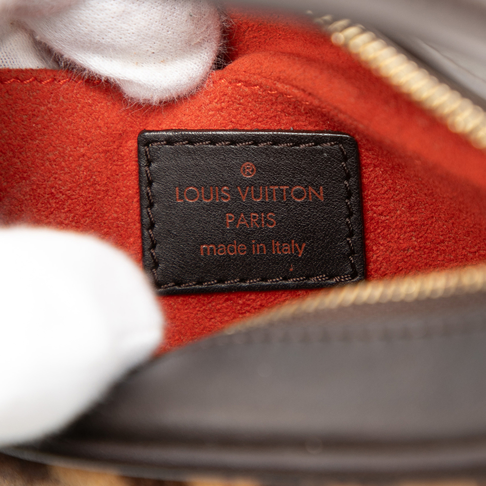 Pre-Loved Louis Vuitton Damier Sauvage Tigre - Picture 5 of 8